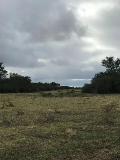 Campo Con Casa 