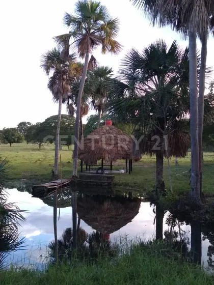 En Venta Hermosa Finca Ganadera