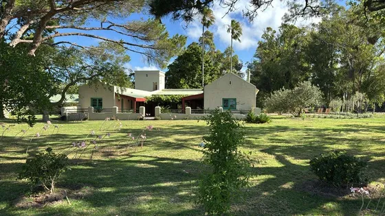 Campo En Venta - Jose Ignacio - 73,6 Ha Por Camino La Anastasio. Tm6639385