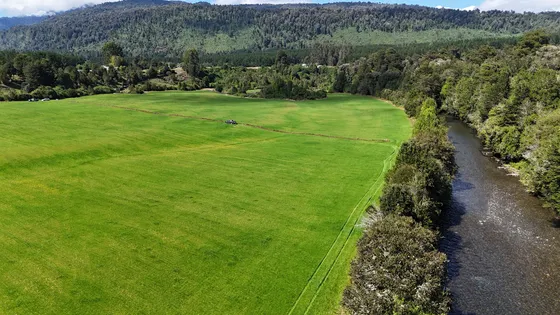 Parcela 5.000m2 Comuna Puerto Octay (100915)