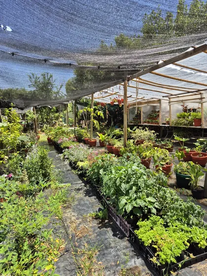 Excelente Terreno Para Jardín O Vivero, Agua, Luz, Oficina.