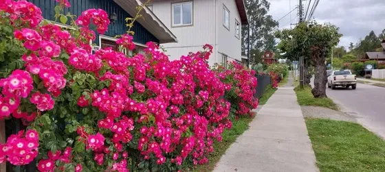 Se Arrienda Casa Amoblada Frutillar Bajo Hasta Diciembre