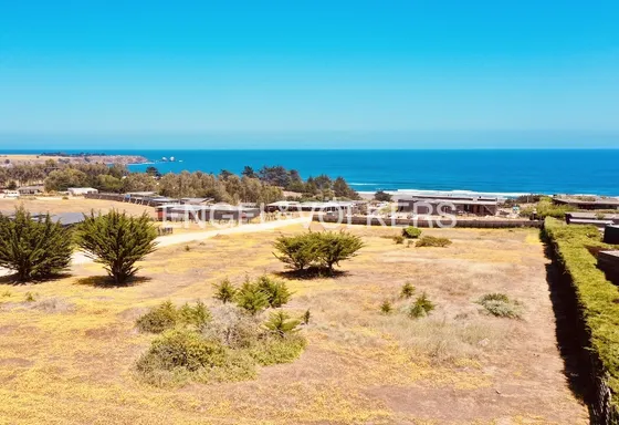 Exclusivo Terreno Punta De Lobos