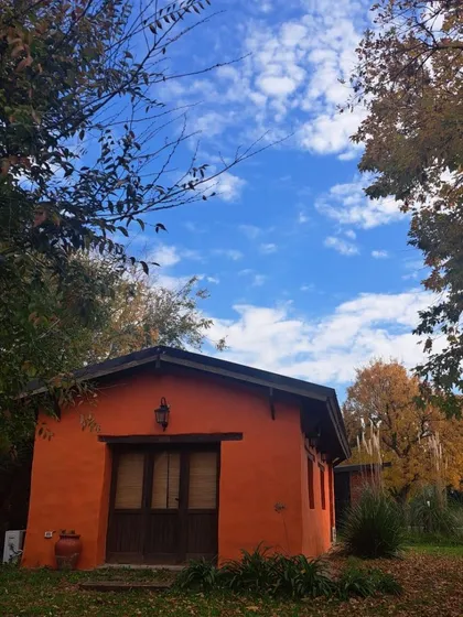 Loft En Alquiler Con Gran Parque