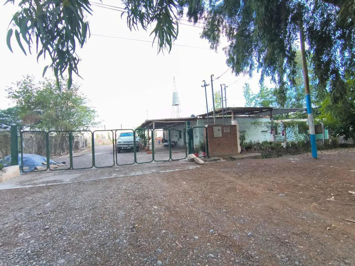 Approx. 4-Hectare Plot Ideal for Subdivision. Pocito