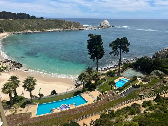 Departamento Pinares Del Canelillo, Algarrobo