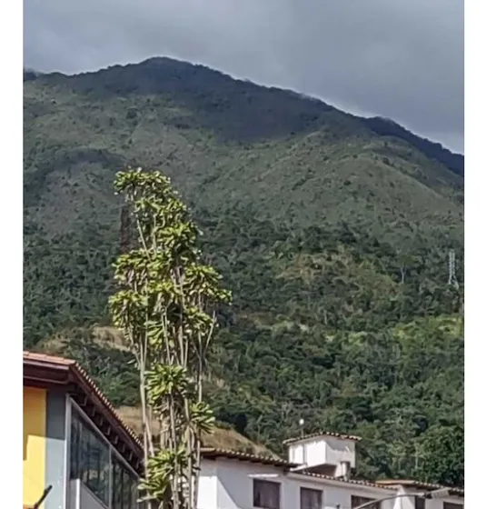 Vendo Casa 1.000m2 El Marqués 2034