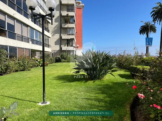 Arriendo Depto 2d 2b Remodelado 2e Sector Casino Viña