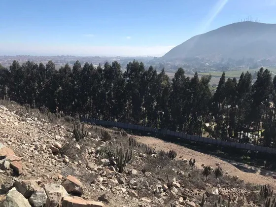 ¡excelente Oportunidad De Inversión! (98286)