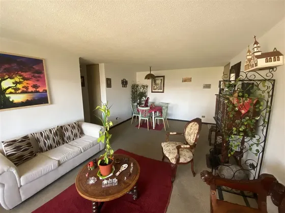 Venta Departamento De 4 Dorm. Bod Y Estac En Viña Del Mar