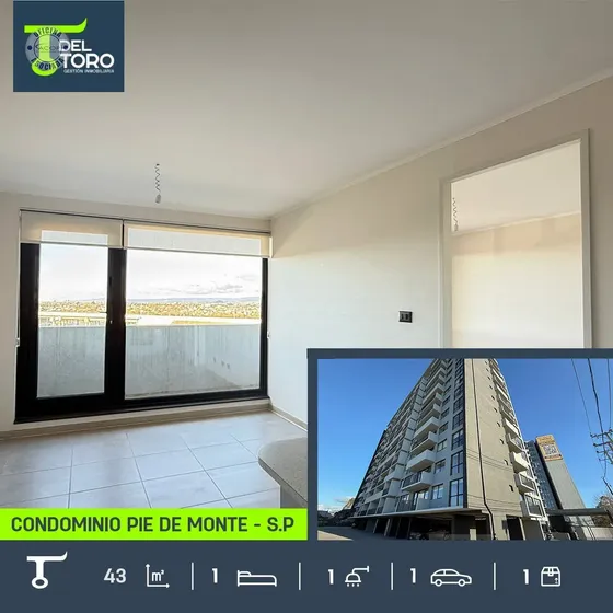 Departamento En Arriendo De 1 Dorm. En San Pedro De La Paz