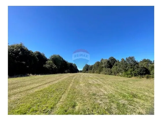 Venta Terreno Fdo La Vega