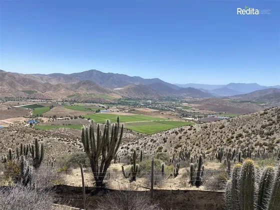 Oportunidad: Fundo Agrícola En Monte Patria Valor Inferior