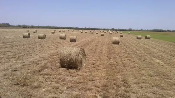 Rancho Ganadero En Venta En General Terán