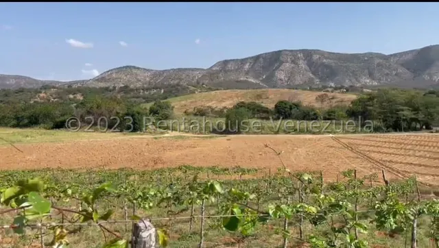 Carlos Colmenarez Vende Fabulosa Finca De 13ha. Con: 2 Lagunas, Agua Por Buco A Gravedad, Posee Electricidad 110 Y 220, Ubicada A Pocos Minutos Del Centro Del Tocuyo Con Acceso Directo De La Autopista