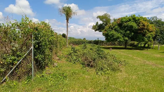 Vendo Lote En El Callejón Fortuna Holandesa En Agua Clara. Tuluá