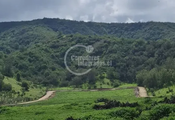 Parcela En Venta En Casablanca