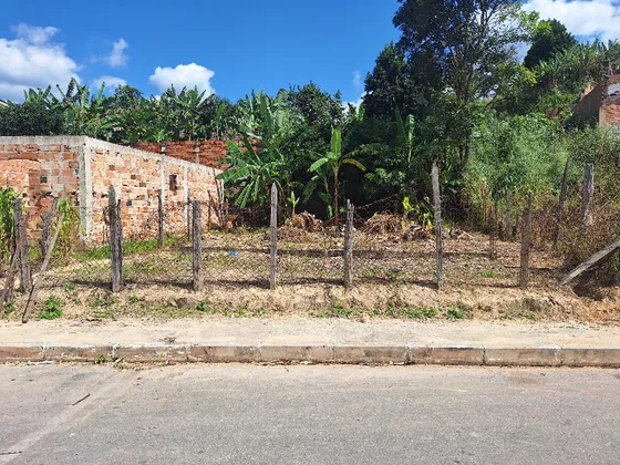 Lote