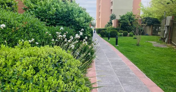 Business Center/ Carretera El Cobre
