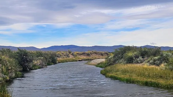 Excelente Campo Productivo En Precordillera De Chubut