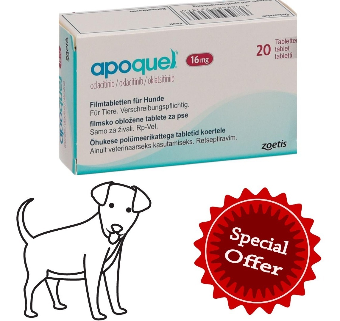 Comprimidos Apoquel Para Cães 16mg Mercado Livre Comprimidos Apoquel Para Cães 16mg Mercado Livre
