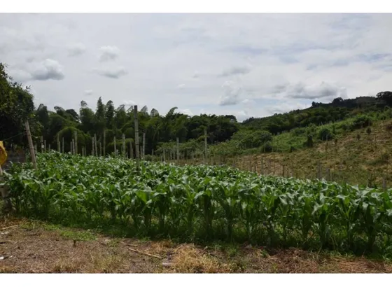 Finca En Venta La Cabaña