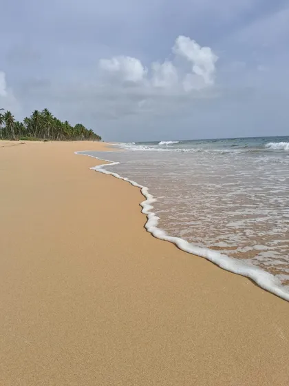 Vendo Impresionante Terreno De Oportunidad De 750,000 M2 Y 1,200 Metros Lineales De Playa En Miches, Rep.dom