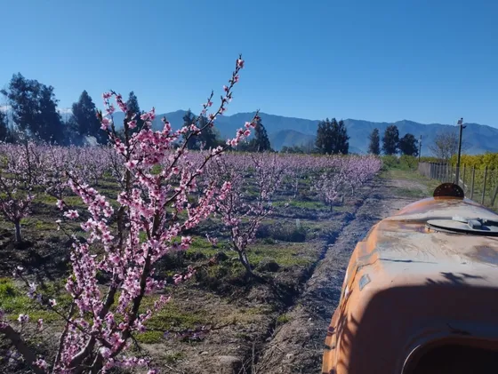 Terrenos A La Venta Cerca De Codegua, Sexta Región