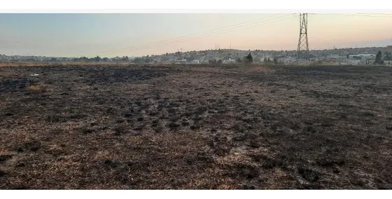 Terreno En Venta En Guadalupe Del Oro