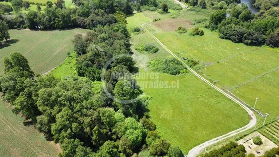 Sitio En Venta En Lanco Precioso