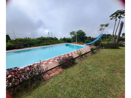 Venta Finca En Fredonia, 38.400 Mts, Independiente 