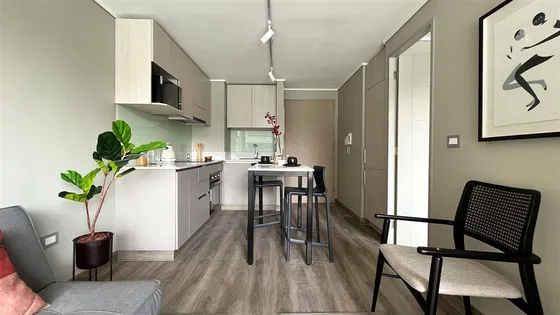 Departamento En Arriendo De 1 Dorm. En Ñuñoa