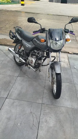 Boxer Ct