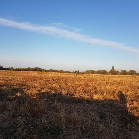 Se Vende Parcela, Con Rol Propio | Bulnes-caterrana-ñuble