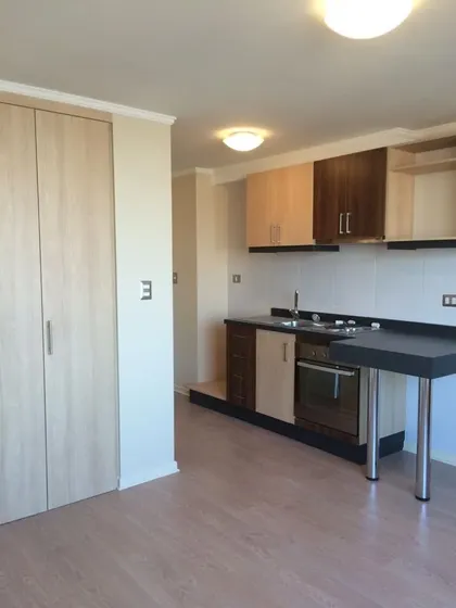 Depto Estudio 1 Dorm 1 Baño Carrera Con Varas