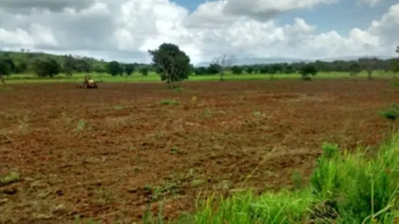 Vendo Finca Agropecuaria En Producción. 1.310 Ha.  Via Las Colonias. Yaracal. Estado Falcón. E. Waldemar