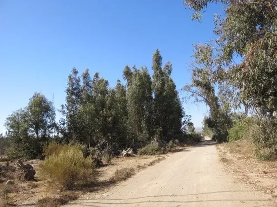 Venta 19 Parcelas Con Roles Iindependiente, La Chimba Ovalle
