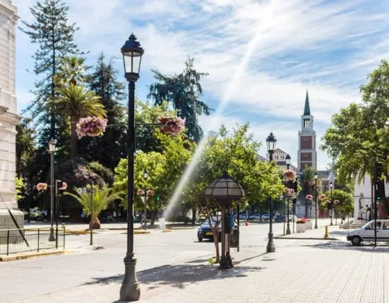 Arriendo Local Comercial A Pasos Del Centro.
