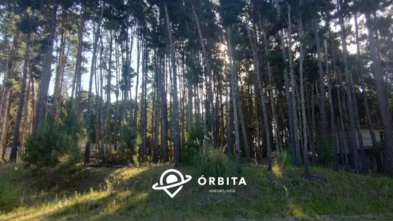 Lote En Venta En Costa Esmeralda, Senderos Iii