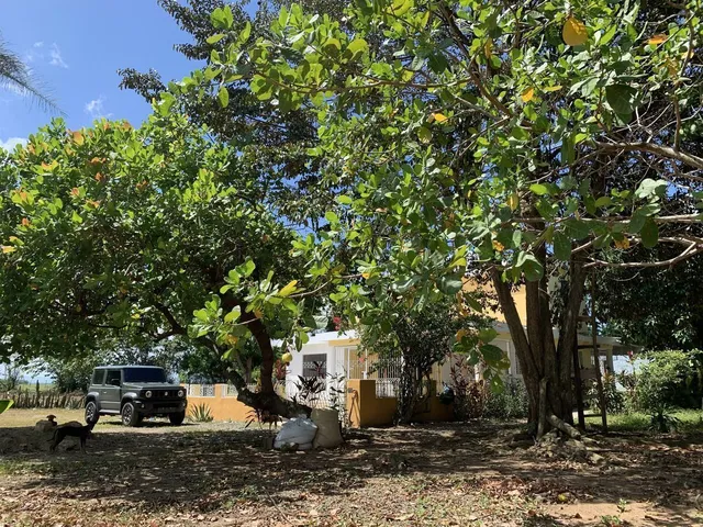 Finca Arrocera Con Casa Para Vivir O Vacacionar