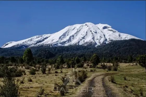 Sitios En Puerto Varas - Parque Pudú