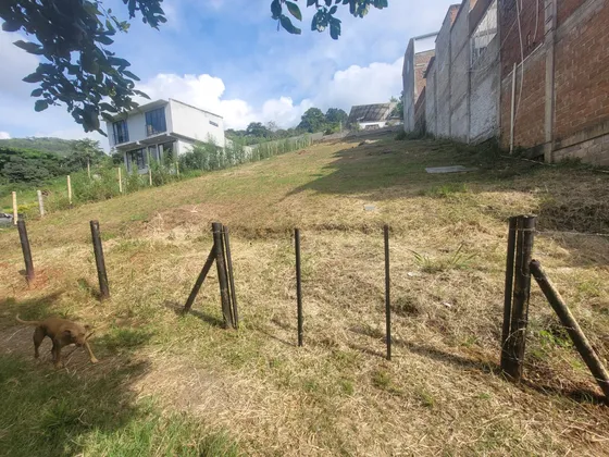 Venta Lote En El Sur,buitrera