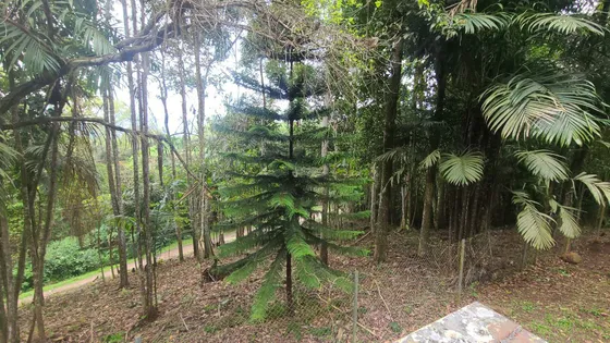 Venta De Terreno Y Bienechurias En El Chuponal Nagua (mv)