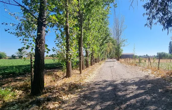 Sitio En Venta En San Clemente