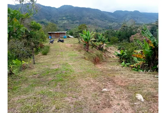 Finca En Venta En San Vicente - El Carmelo