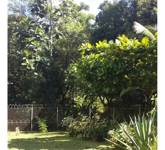 Casa De Campo Con Jardín Y Gazebo, Area Para Sembrar