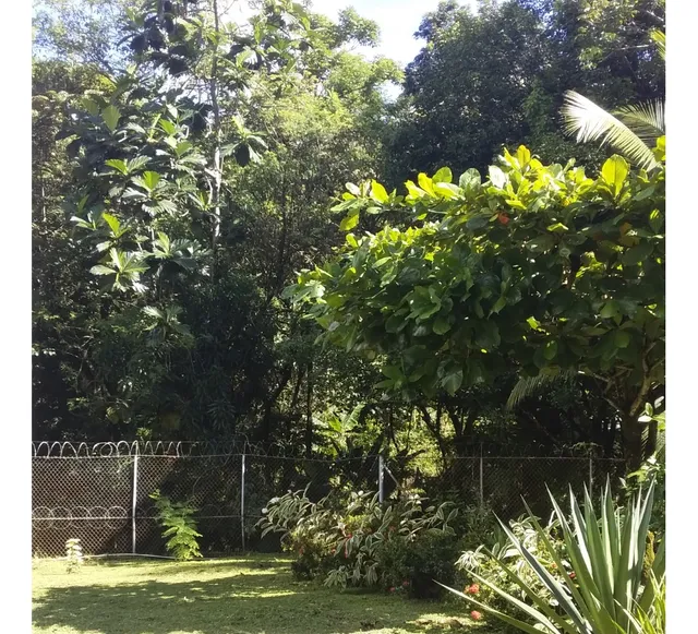 Casa De Campo Con Jardín Y Gazebo, Area Para Sembrar
