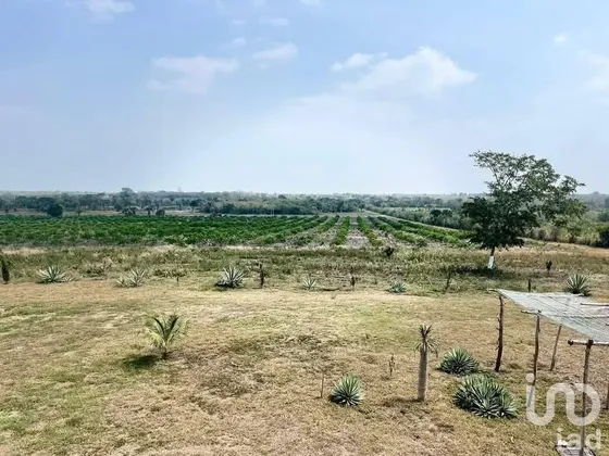 Venta Terreno 0 Ambiente Topila