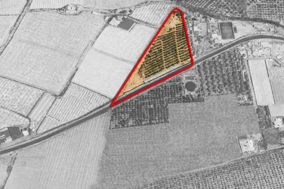 Inversión Agrícola O Inmobiliaria: 1 Ha Loteables En Azapa