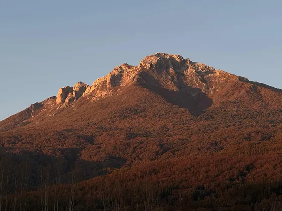 Terreno 5.000 M2 Rol Propio.